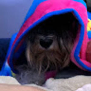 Meet your Posher, Hannah